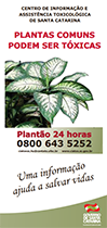 Plantas comuns tóxicas Plantas comuns tóxicas