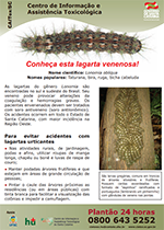 Lagarta venenosa Lonomia Lagarta venenosa Lonomia